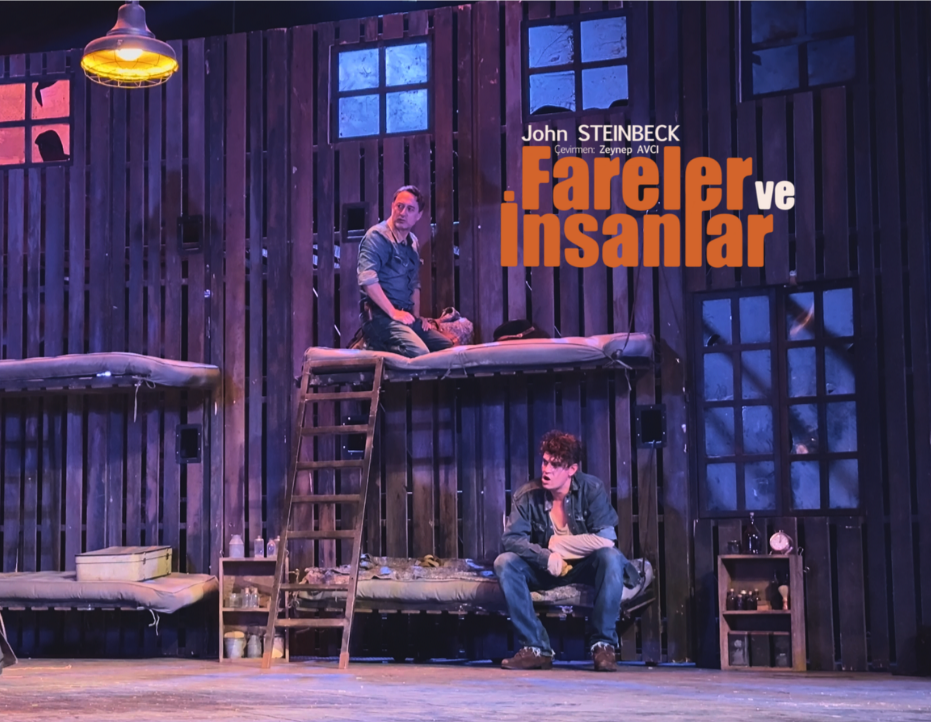 FARELER VE İNSANLAR